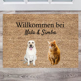 66bb8cd3c8687_large